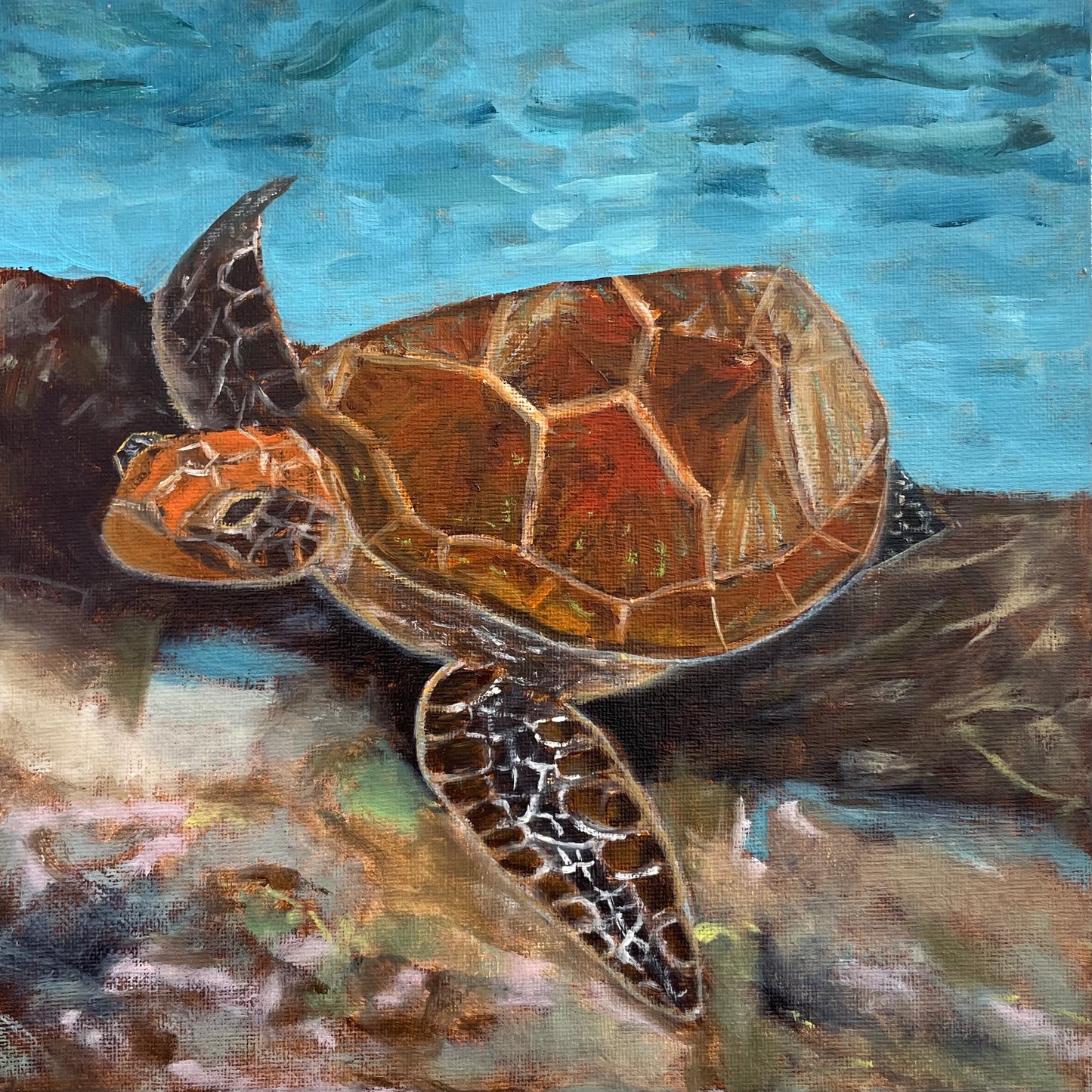 Turtle - Original Artwork